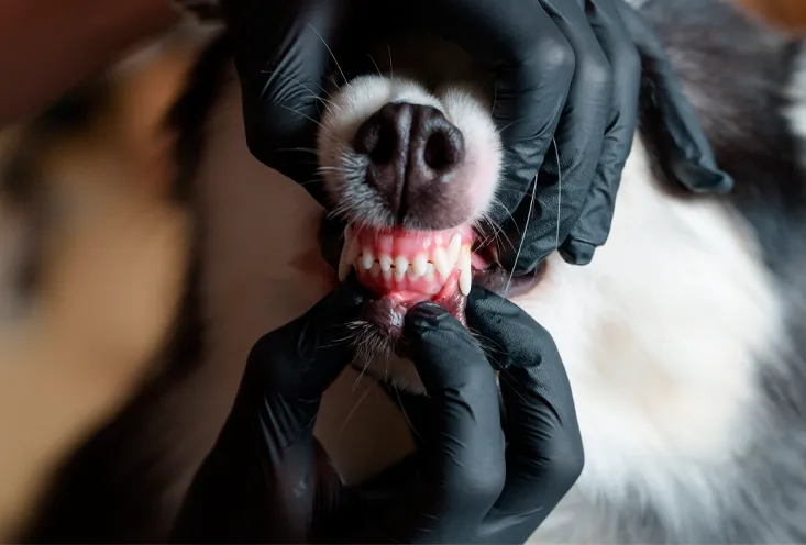 Полировка - фото1