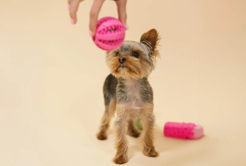 Занятие офлайн в Шариках - фото4