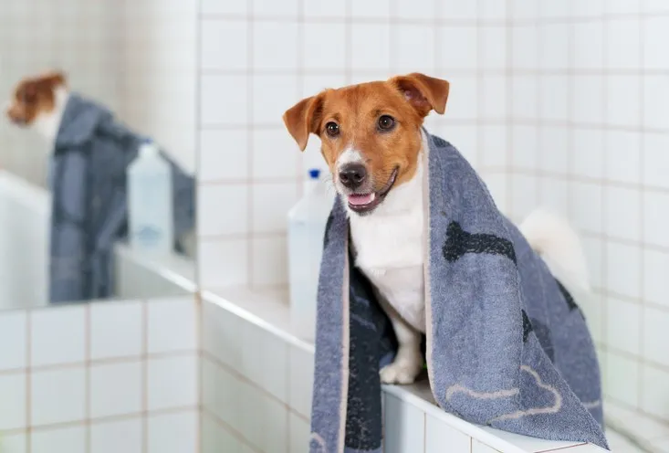 Гигиеническая мойка - фото2