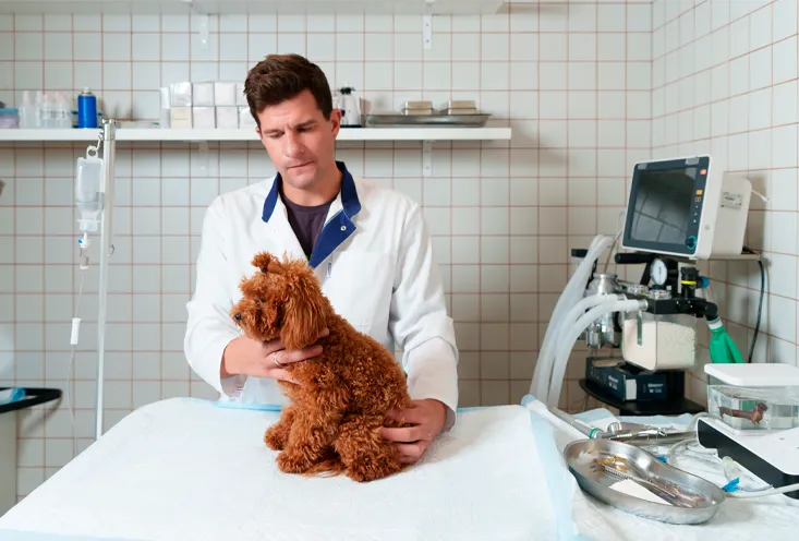 Остеопатия - фото3