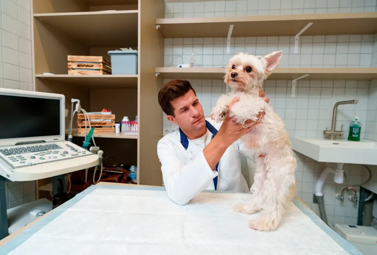 Гастроэнтерология - Фото3