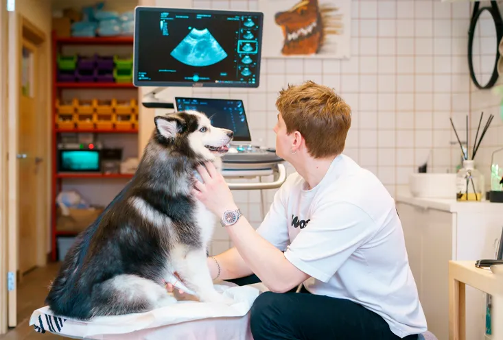 Гастроэнтерология - Фото2