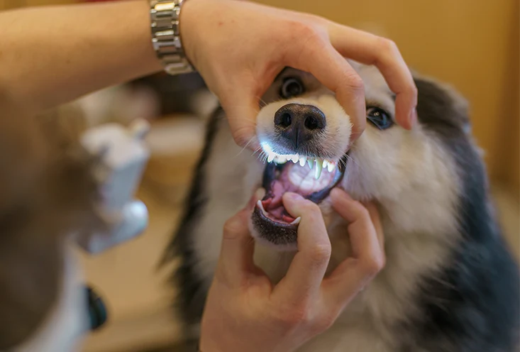 Удаление зубов - фото1