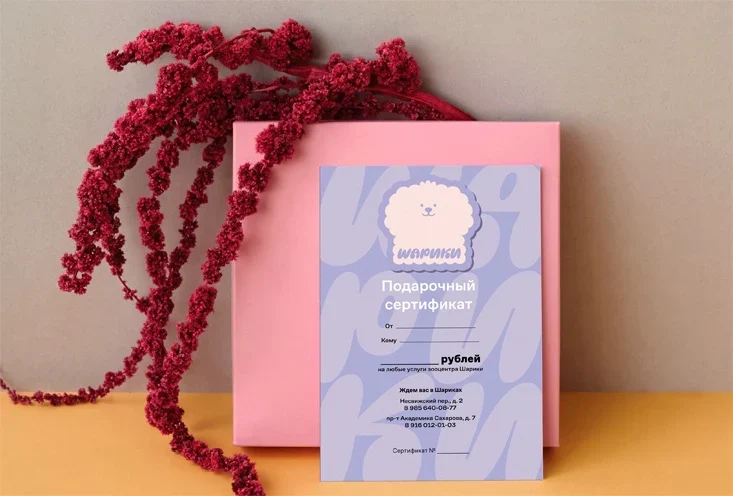 Подарочный сертификат Шариков