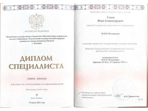 Диплом о высшем ветеринарном образовании