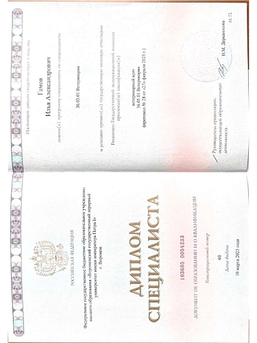 Диплом о высшем ветеринарном образовании